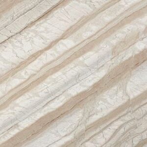 Corteccia Brazilian