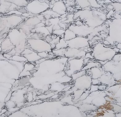 Arbscato Corchia Marble Argento