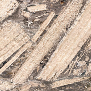 Arlecchino Italian Marble