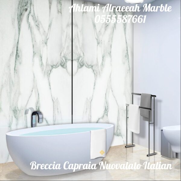 Breccia Capraia Nuvolato Italian - Image 25