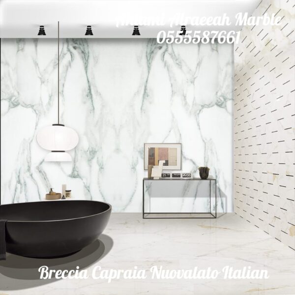 Breccia Capraia Nuvolato Italian - Image 15