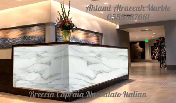 Breccia Capraia Nuvolato Italian - Image 16