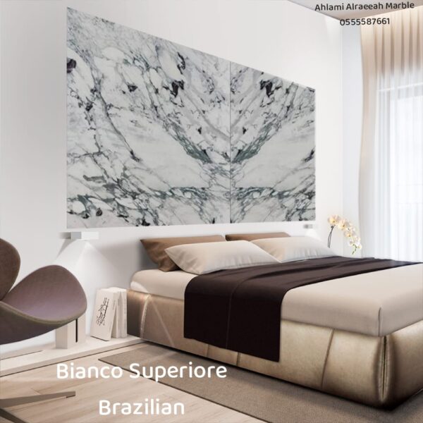 Breccia Capraia italian - Image 8