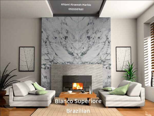 Breccia Capraia italian - Image 11