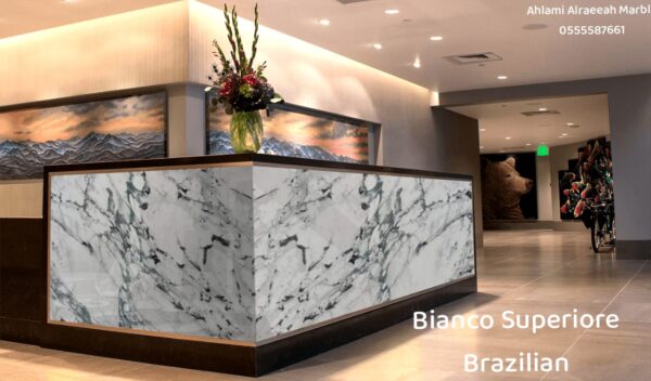 Breccia Capraia italian - Image 3