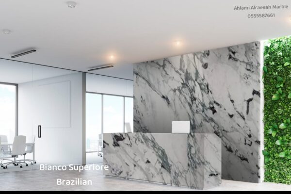 Breccia Capraia italian - Image 4