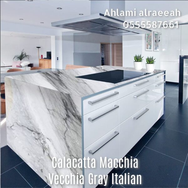 Calacatta Macchia Vecchia Gray Italian - Image 9