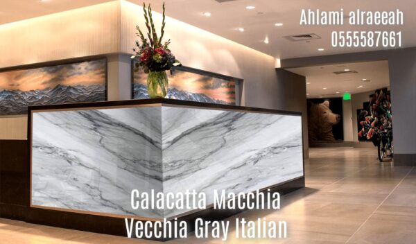 Calacatta Macchia Vecchia Gray Italian - Image 20