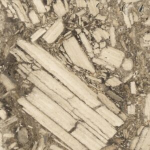 Arlecchino Marble Marrone himalyas