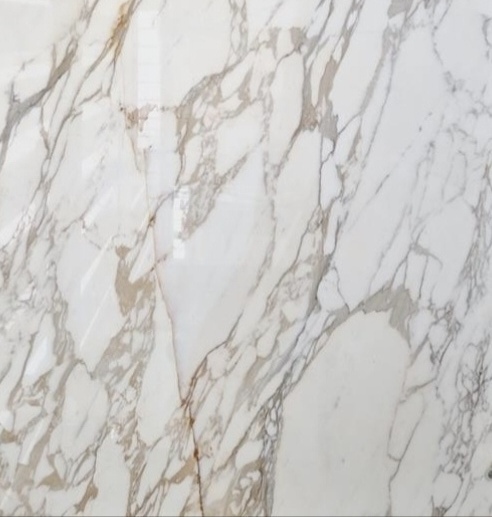 calacatta champagne marble bianco