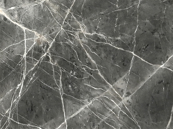 Calacatta Preto Italian Marble