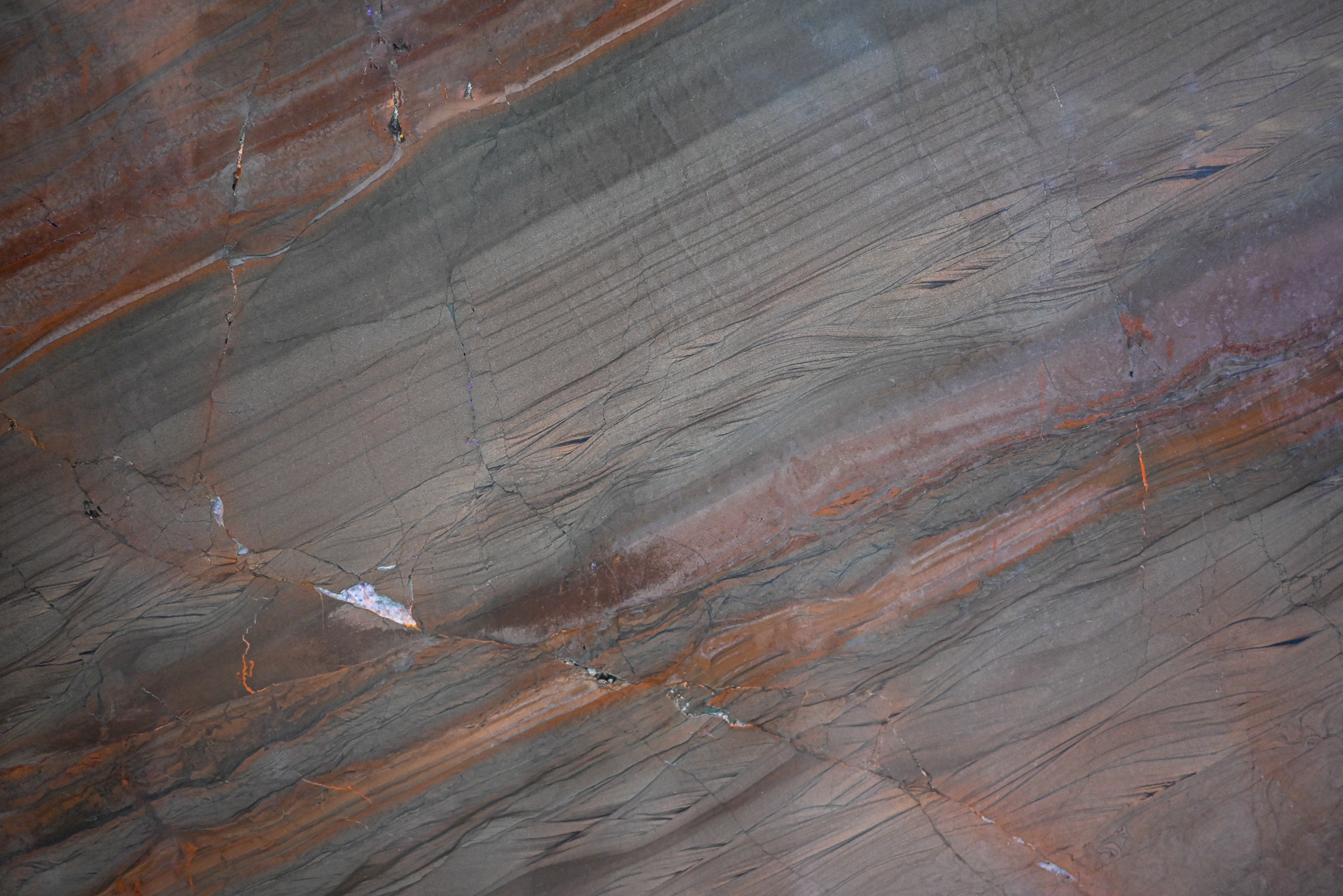 Elegant Brown Turkish Marble
