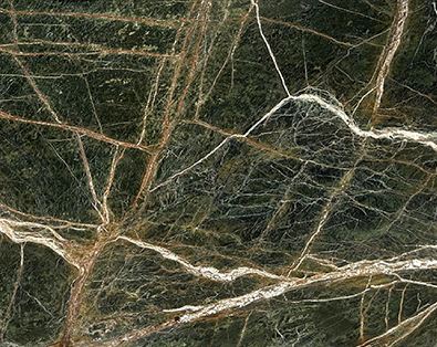 Pietra Di Legno Green Wood Leather Indian Marble