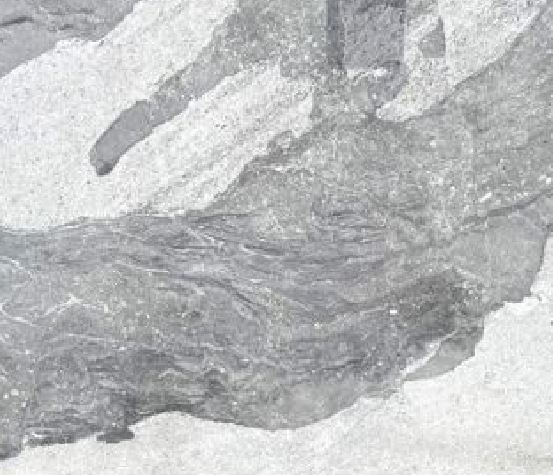 Normandy Grey Italian Marble