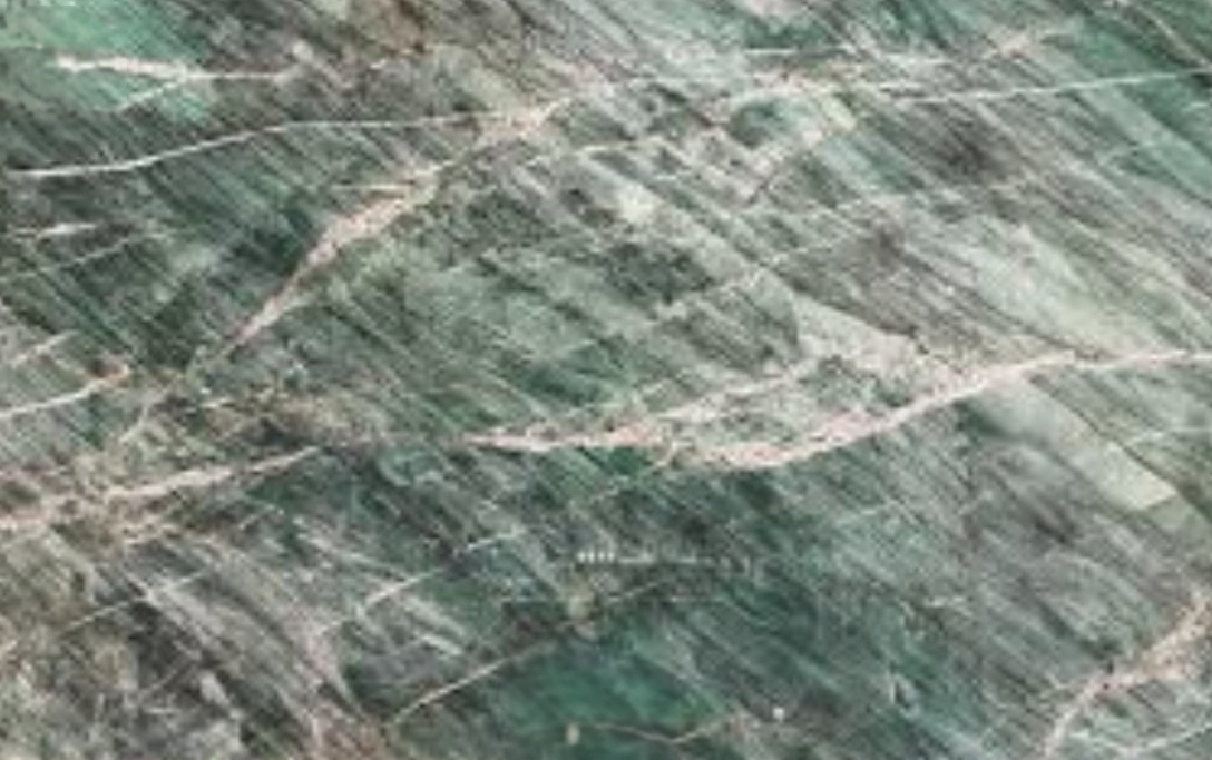 Botanic Green Marble verde