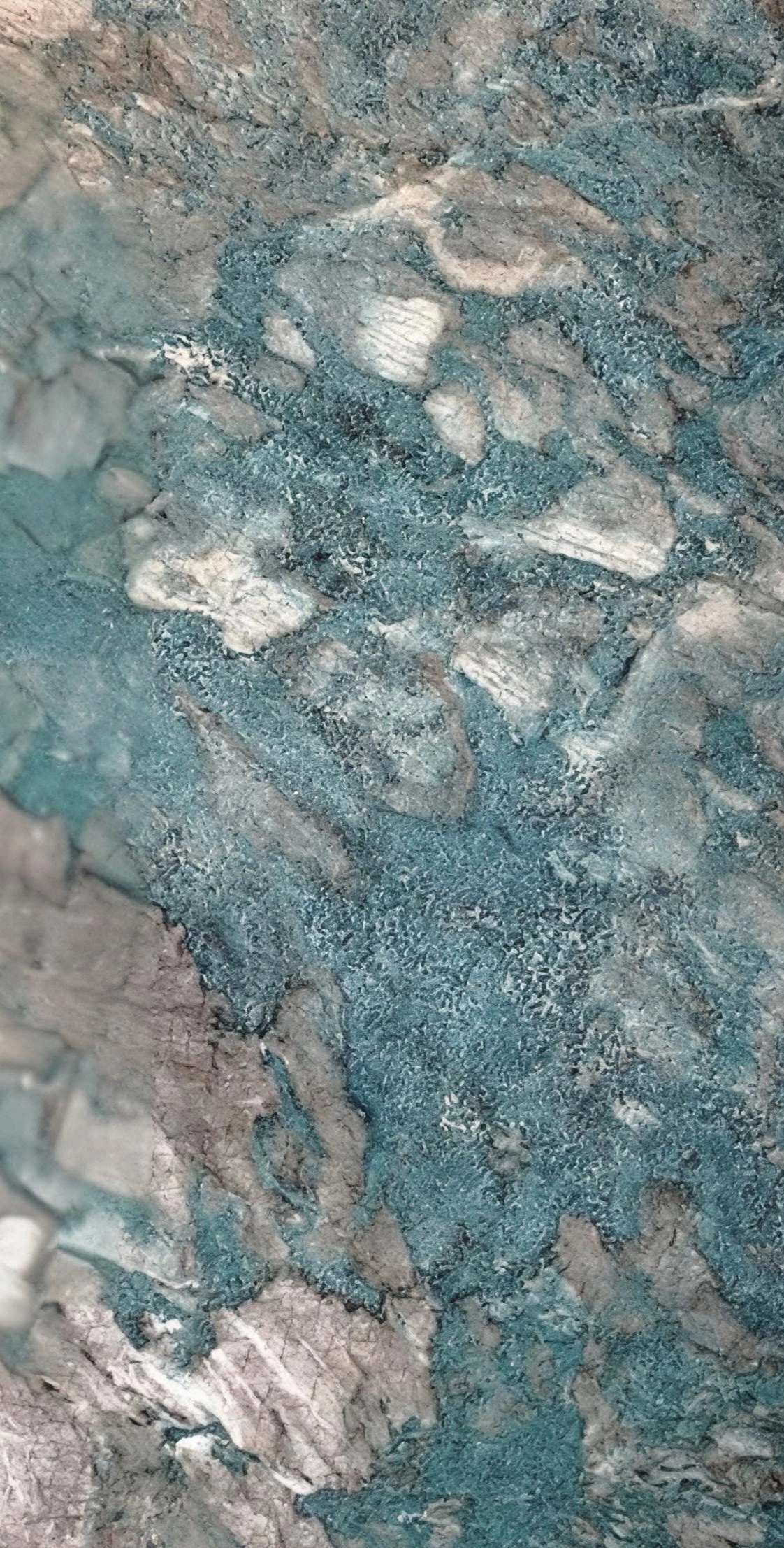 Blue Belize Quartzite Turchese