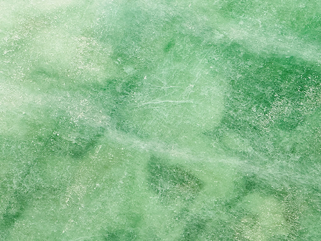 CRYSTALLO MURANO Brazilian Quartzite