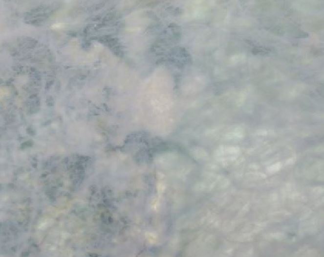 Onyx Turquoise Chinese Marble