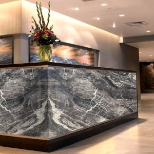 Arbescato Orobico Italian marble (18)