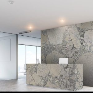 Azul Arbescato Turkish Marble (19)