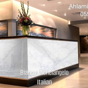 Bianco Michelangelo italian (12)