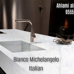 Bianco Michelangelo italian (17)