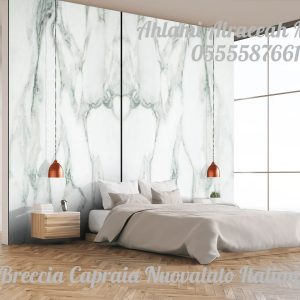 Breccia Capraia Nuovalato Italian (13)