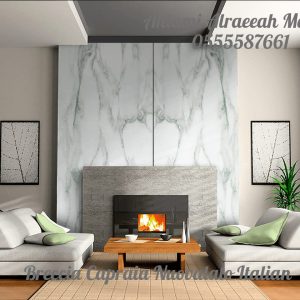 Breccia Capraia Nuovalato Italian (14)