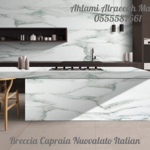 Breccia Capraia Nuovalato Italian (17)