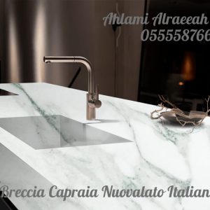 Breccia Capraia Nuovalato Italian (18)
