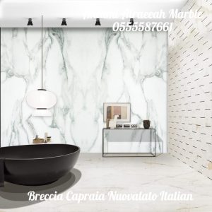 Breccia Capraia Nuovalato Italian (2)