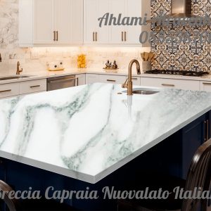 Breccia Capraia Nuovalato Italian (20)