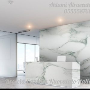 Breccia Capraia Nuovalato Italian (3)