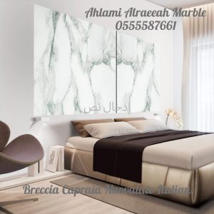 Breccia Capraia Nuovalato Italian (5)