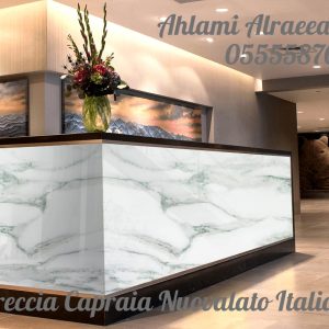 Breccia Capraia Nuovalato Italian (7)