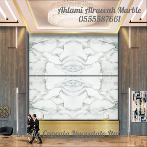 Breccia Capraia Nuovalato Italian (9)