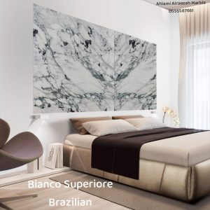 Breccia Capraia italian (11)