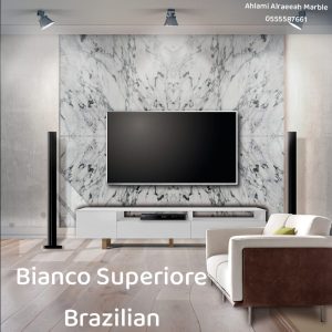 Breccia Capraia italian (12)