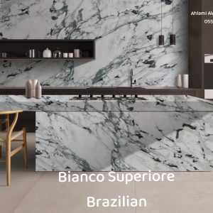 Breccia Capraia italian (13)