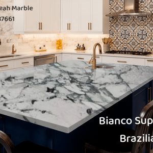 Breccia Capraia italian (16)