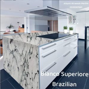 Breccia Capraia italian (17)