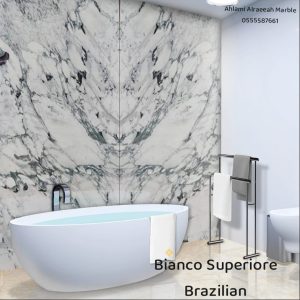 Breccia Capraia italian (19)