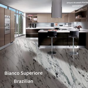 Breccia Capraia italian (5)