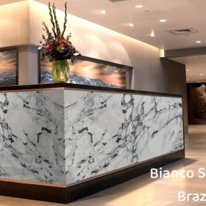 Breccia Capraia italian (6)