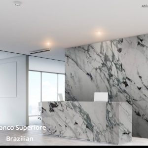 Breccia Capraia italian (7)