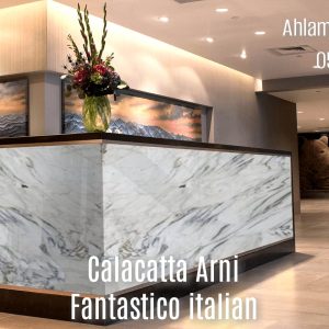 Calacatta Arni Fantastico (9)