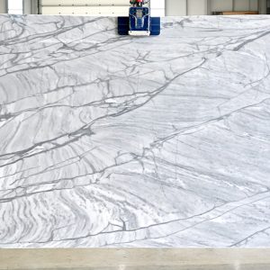 Herculeo Grey turky 1