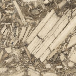 Screenshot_20260311_004511_com_android_chrome_CustomTabActivity