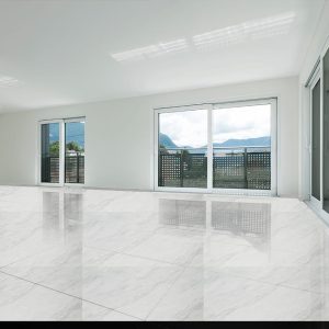 WhatsApp Image 2025-12-30 at 9.47.44 AM