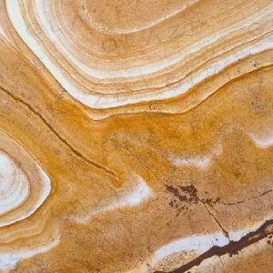 palmino barazilian 2